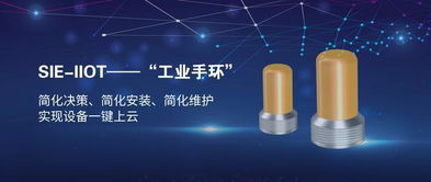 賽意信息攜工業互聯網示范線亮相工業互聯網峰會，以數字化力量助推中國智造升級轉型